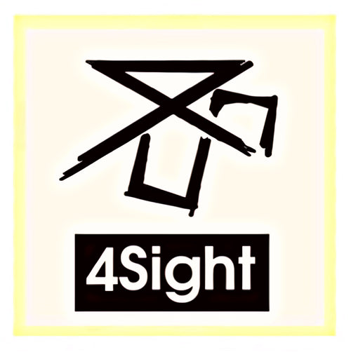 4Sight Shoes